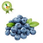 Arándanos (Blueberry) x kg