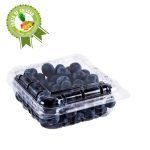 Compra Arandanos Blueberry X 125 G en Grillo Market Cajamarca