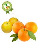 Compra Naranja Huando X Kg en Grillo Market Cajamarca