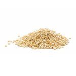 Compra Quinua Grillo Martket Bolsa 500g en Grillo Market Cajamarca