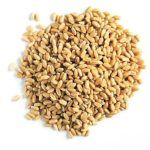 Compra Trigo Grillo Martket Bolsa 500g en Grillo Market Cajamarca
