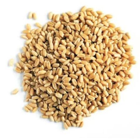 Compra Trigo Grillo Martket Bolsa 500g en Grillo Market Cajamarca