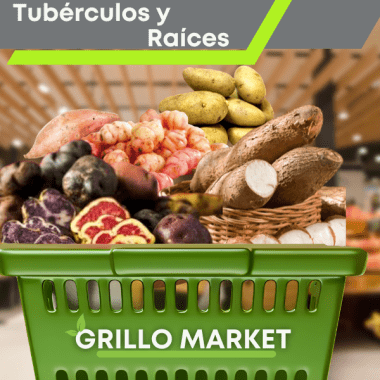 Tubérculos y Raíces