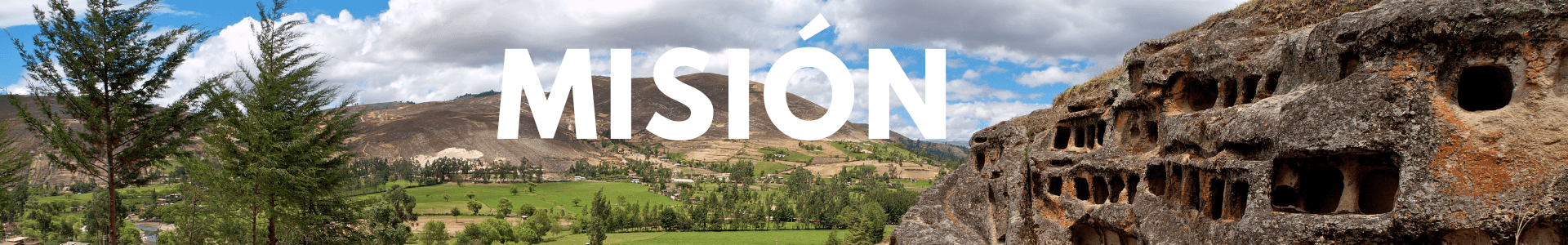 Compra Mision 1 1 en Grillo Market Cajamarca