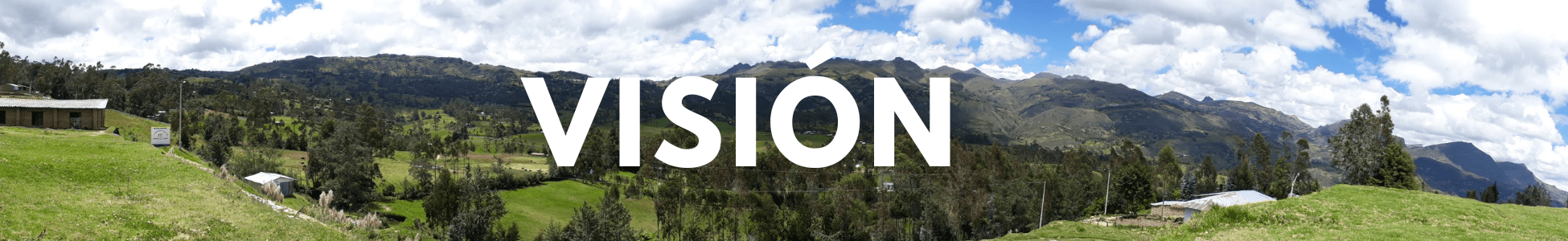 Compra Vision en Grillo Market Cajamarca