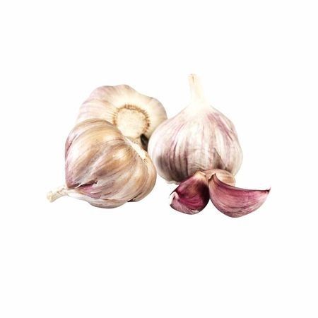 Ajo Macho x kg E