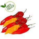 Compra Aji Limo X Kg 1 en Grillo Market Cajamarca