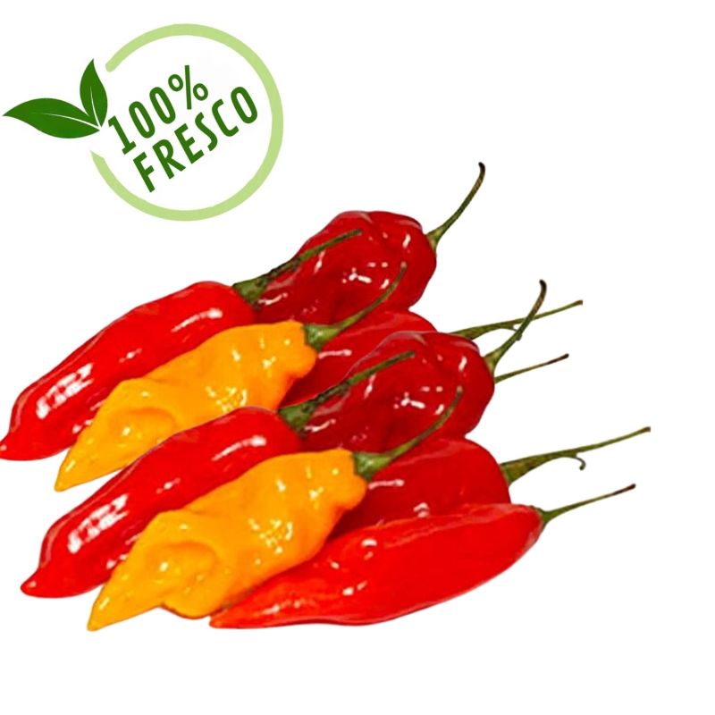 Ají Limo x kg Compra Aji Limo X Kg 1 en Grillo Market Cajamarca