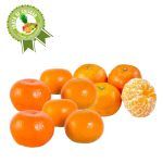 Compra Mandarina Sin Pepa X Kg en Grillo Market Cajamarca