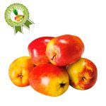 Manzana Israel x kg