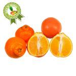 Compra Naranja Tangelo X Kg en Grillo Market Cajamarca