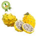 Pitahaya Amarilla x Kg