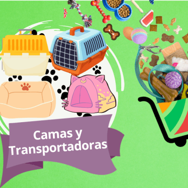 Camas y Transportadoras