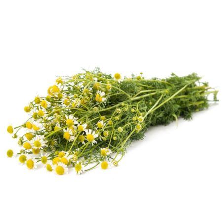 Manzanilla x kg
