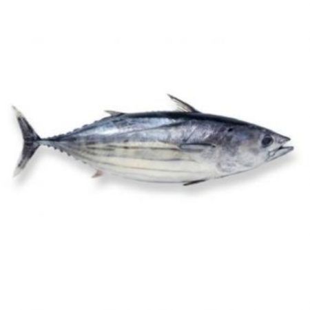 Pescado Bonito por Kg