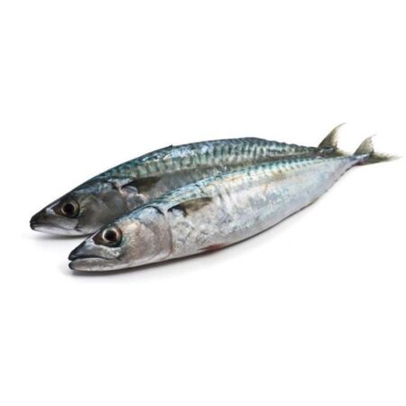 Pescado Jurel Entero x kg