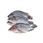 Pescado Tilapia Entero x kg