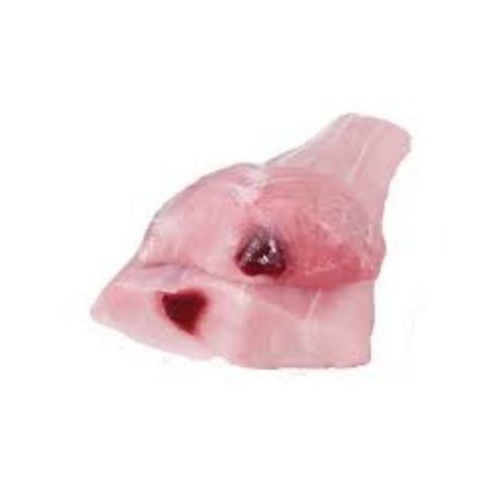 Pescado Tollo por Kg