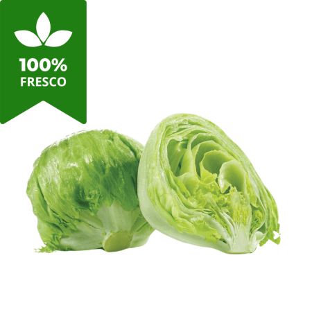 lechuga americana